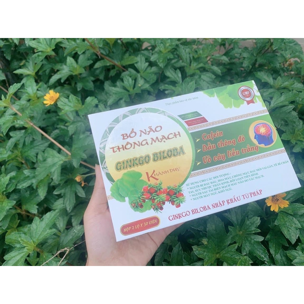 Bổ não thông mạch Gikobiloba