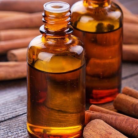 Tinh dầu quế nguyên chất ( Cinnamon Essential Oil ) GUTY Lọ 100ml