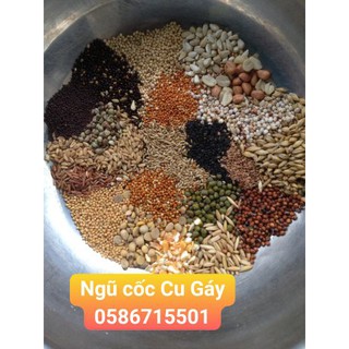 ngũ cốc cho chim cu gáy 1kg