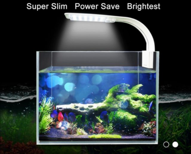 Đèn led kẹp thành hồ cá siêu sáng (phù hợp bể 20-50cm)