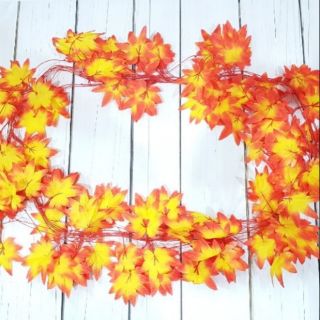 Dây lá phong đỏ