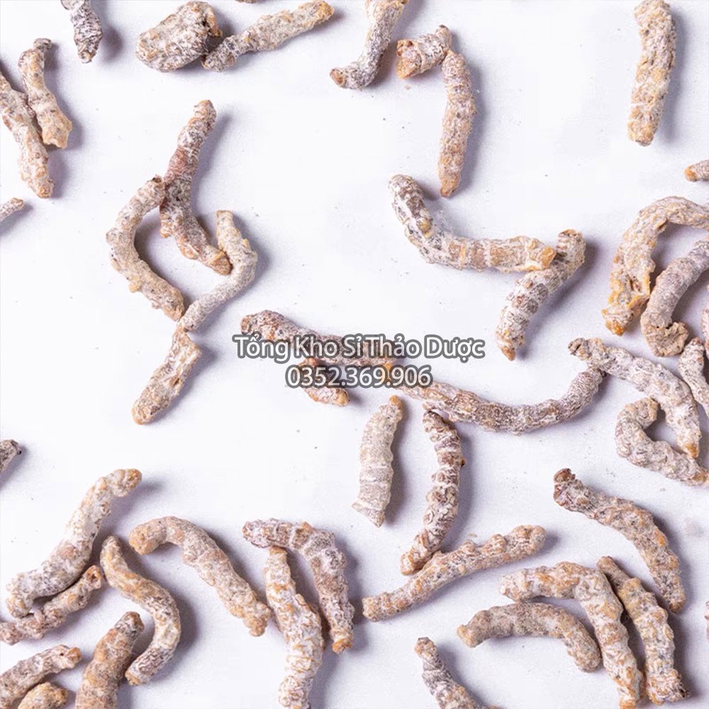 Bạch Cương Tằm 1kg
