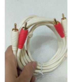 Dây av 2 đầu hoa sen ra 2 dài 0,8m
