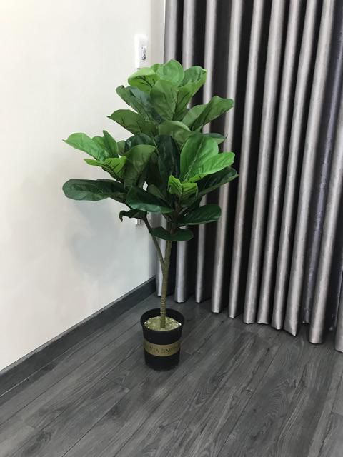 CÂY BÀNG SINGGAPORE CAO CẤP CAO 100CM (3 NHÁNH)-CÂY GIẢ