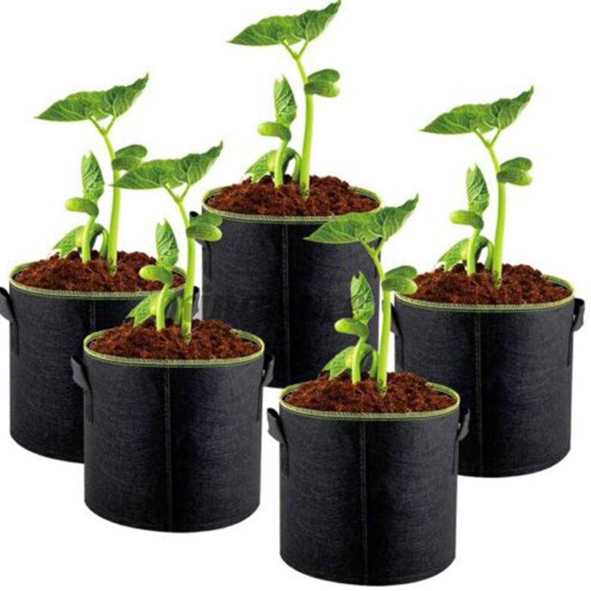 Túi Trồng Cây Hình Tròn Tiện Lợi