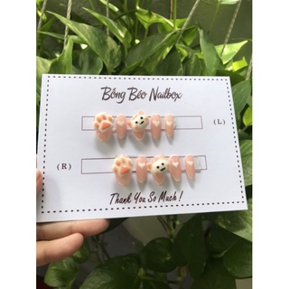 Nailbox chân mèo
