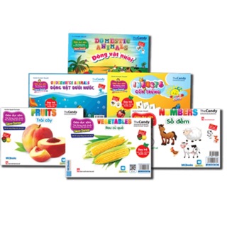 [ KT CHUẨN 15x21 CM] Thẻ Học Flashcard Glenn Doman Học Tiếng Anh 26 Chủ Đề NXB Phụ Nữ