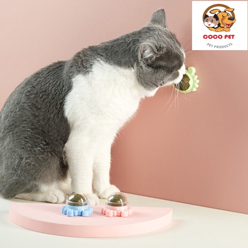 Catnip - Cỏ Bạc Hà Cho Mèo Hình CUA Dạng Xoay Gắn Tường Có Nắp Đậy Giúp Mèo Thư Giãn Tiêu Búi Lông