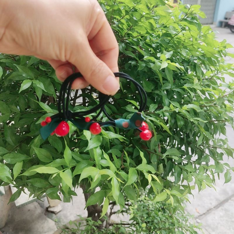 Cột tóc xinh,cột tóc xinh dành cho nữ.