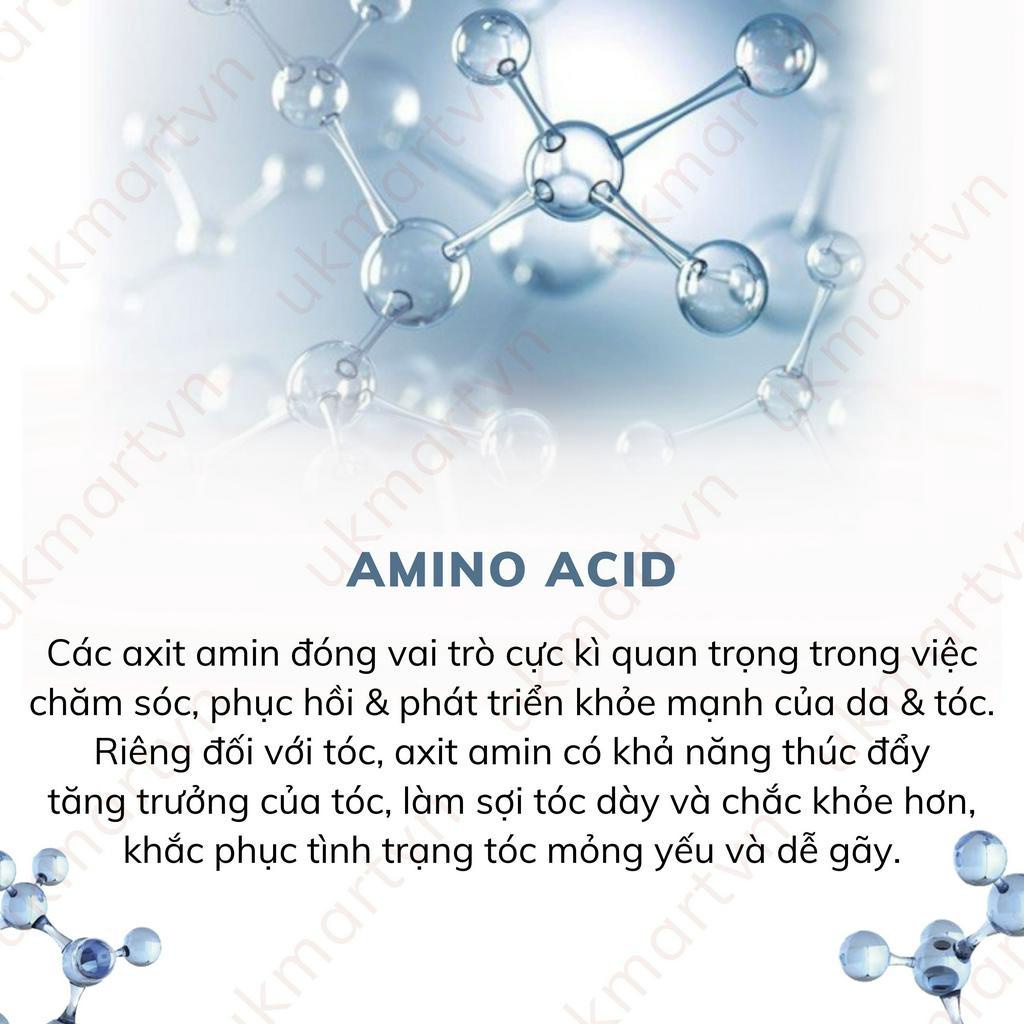 Bộ Dầu Gội Xả Siêu Dưỡng Phục Hồi Tóc Hư Tổn Salon Link Chứa Chiết Xuất Hoa Mộc Vàng Nhật Bản 1000ml