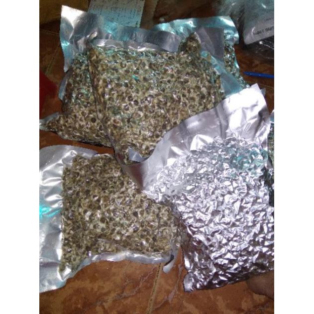 1kg hạt chùm ngây