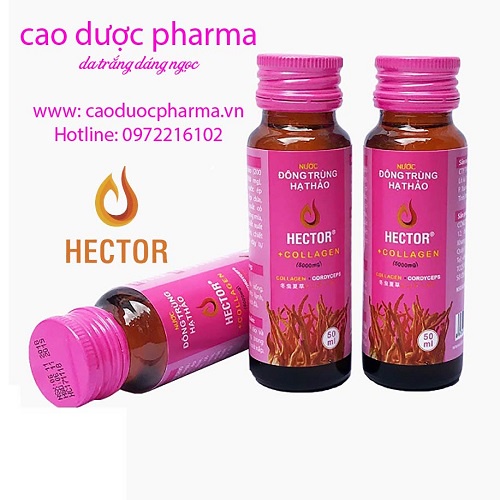 01 chai Hector Collagen chính hãng giá dùng thử