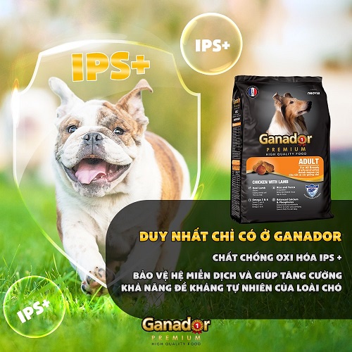 THỨC ĂN CHO CHÓ GANADOR 400G