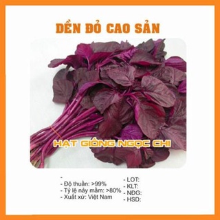 Hạt giống rau dền đỏ cao sản - 20gr
