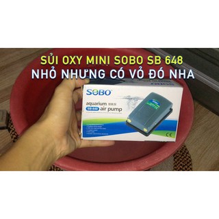 Sục oxi 2 vòi [tặng vòi và sủi]