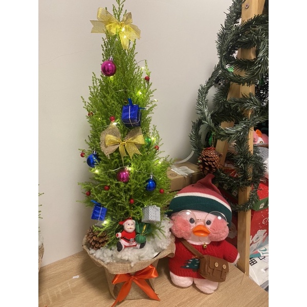 Cây tùng noel giáng sinh