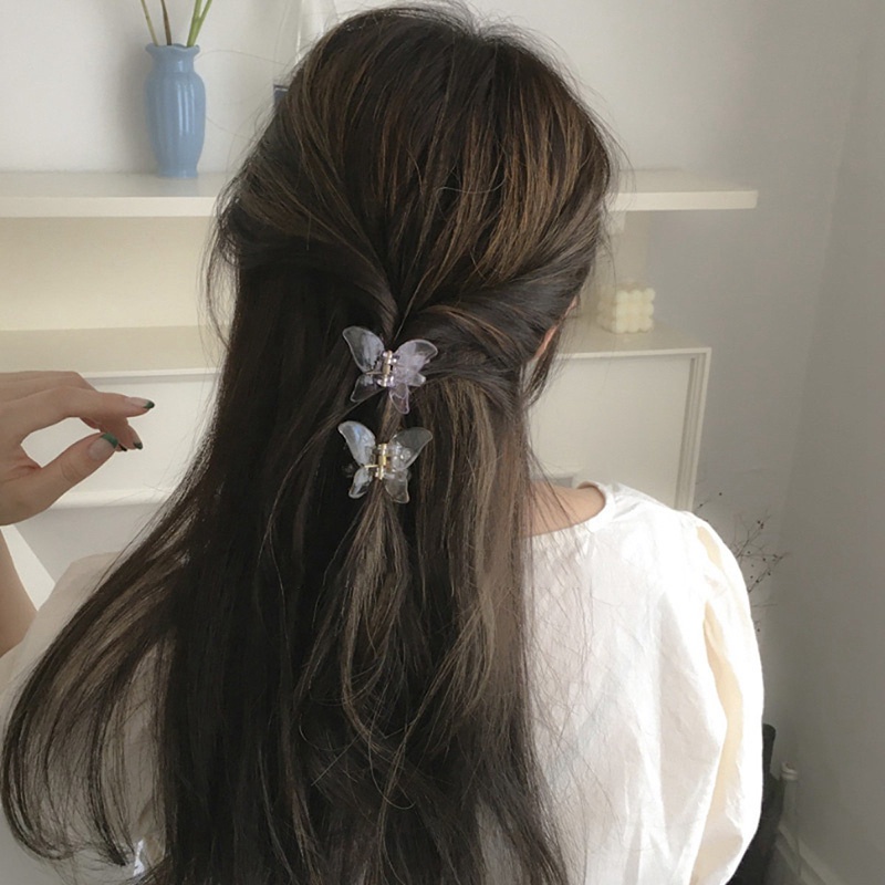 Kẹp Tóc Hình Bướm Đơn Giản Bằng Acrylic Cho Nữ