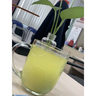 Tinh Bột Nghệ Nguyên Chất 500GR