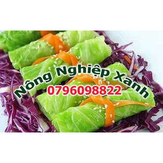 Hạt giống rau Bắp cải xanh