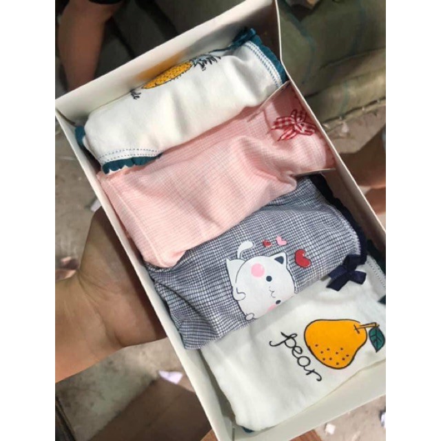 Hộp 4 Chiếc Quần Lót Muji Cotton Kháng Khuẩn Học Sinh Cực Đẹp