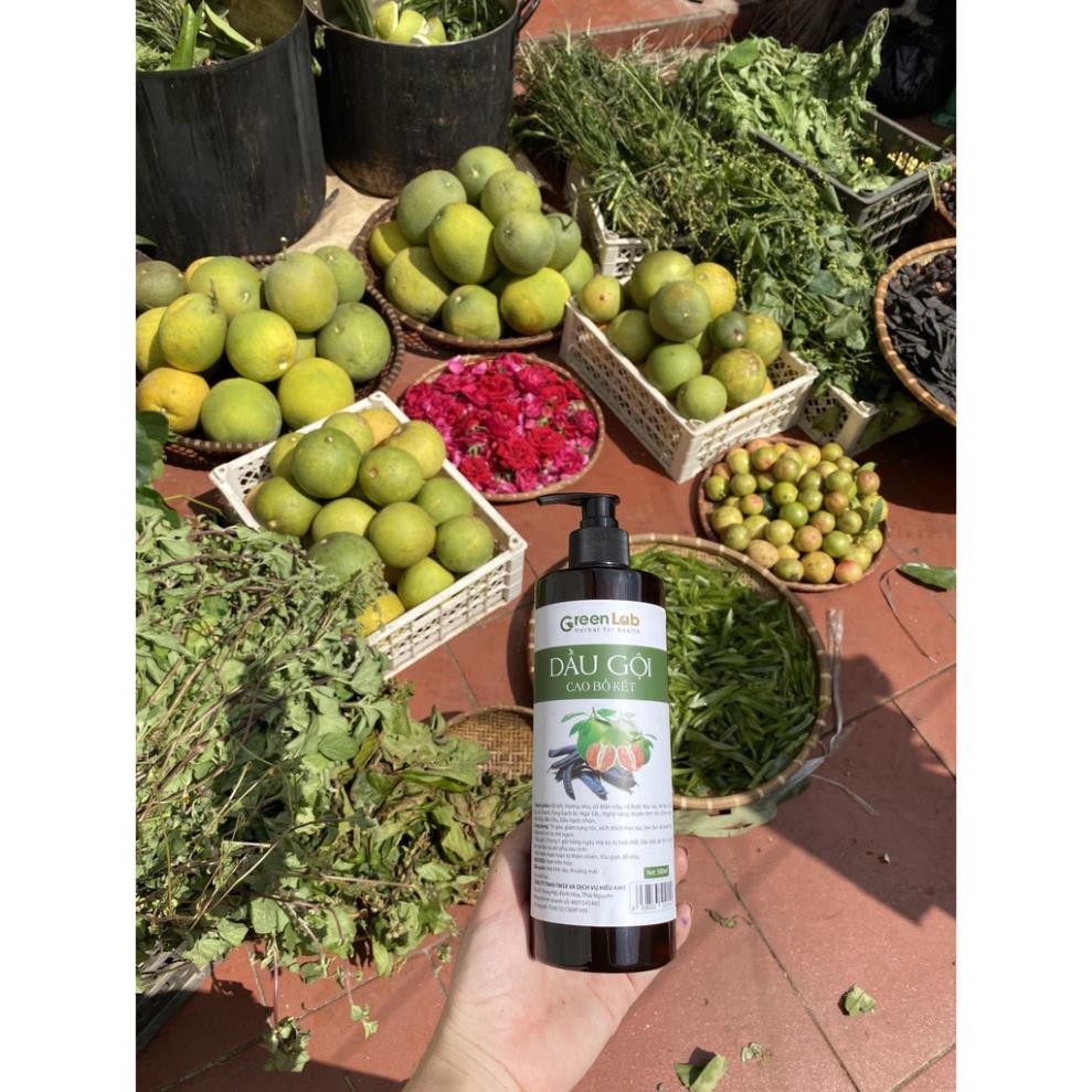Dầu Gội Cao Bồ Kết Greenlab, lọ 500ml
