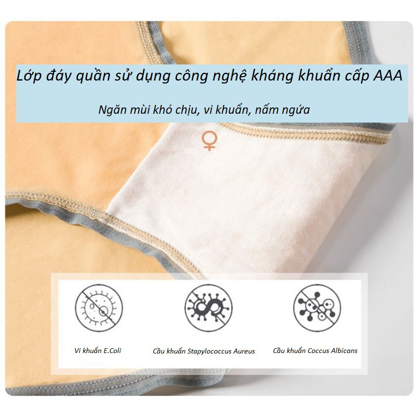 Quần Lót Băng Lụa Kháng Khuẩn Siêu Mỏng Mịn Daisy P285