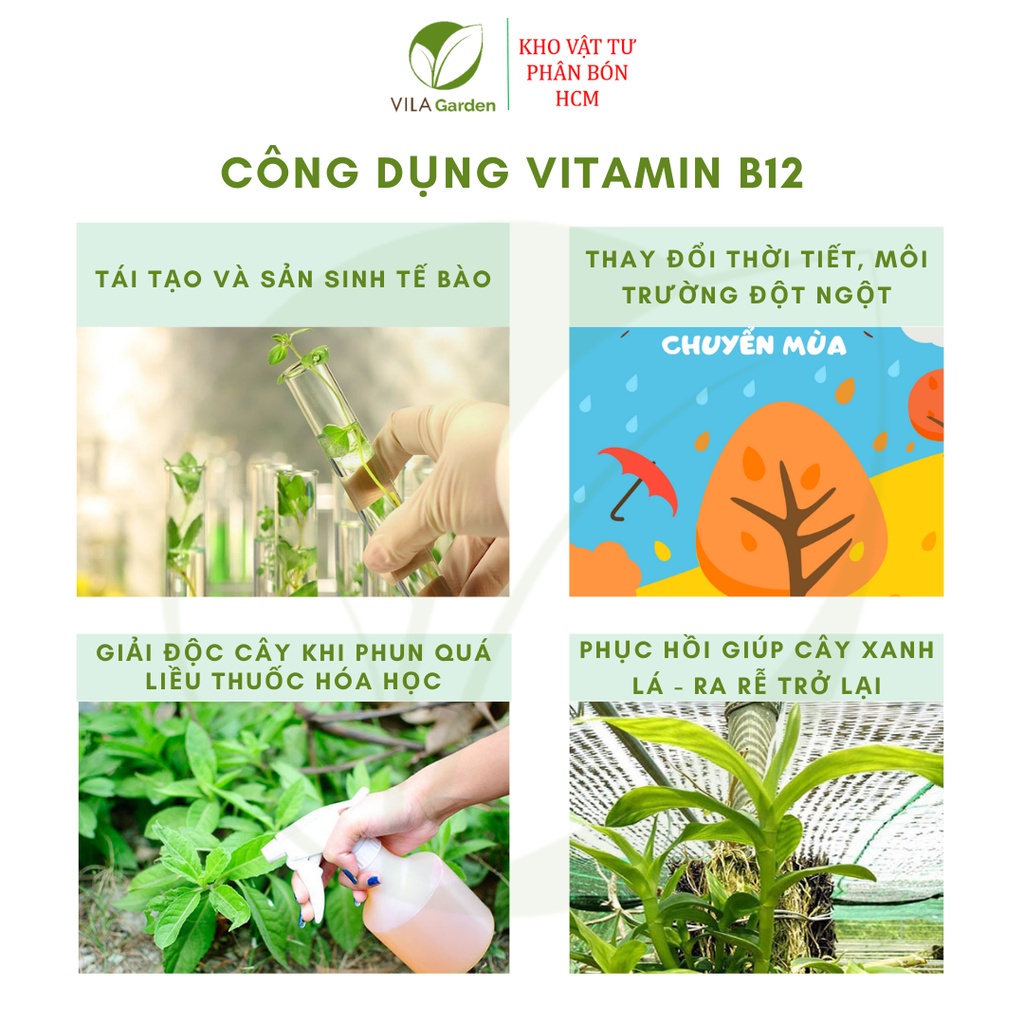 Phân Bón Lá Vitamin B12 Giải Độc Cho Cây Cảnh, Hoa Lan 100ml