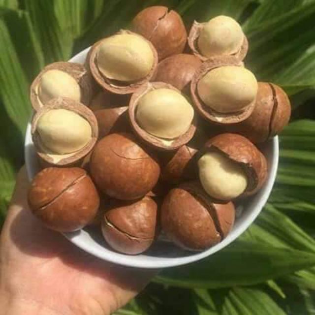 Hạt mắc ca