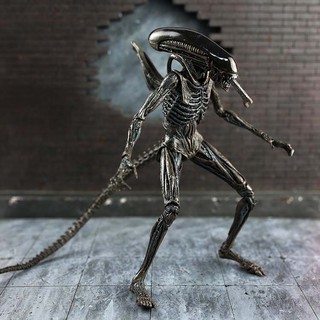 Mô hình Alien Contract Xenomorph - AVP Ailen vs Predator