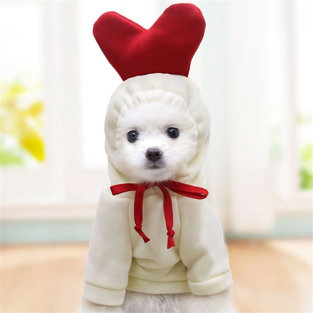 Áo hoodie dễ thương thời trang mùa đông cho thú cưng
