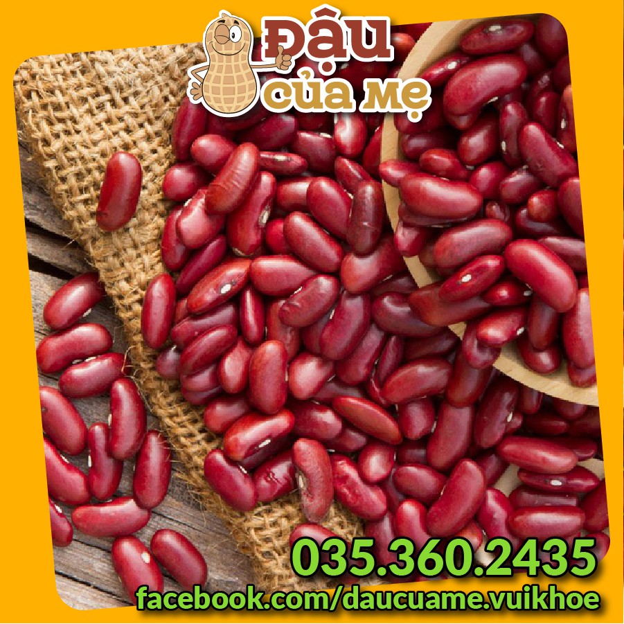 Đậu đỏ hạt to
