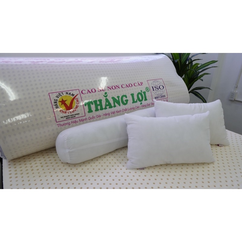 Nệm cao su non CAO CẤP THẮNG LỢI GẤP 2- GẤP 3 (cải tiến, vượt trội) BH chính hãng 15 năm