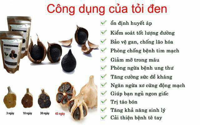 Máy làm tỏi đen