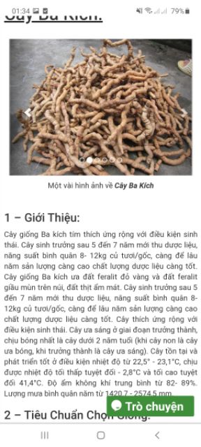 Com bo 10 cây ba kích tím  cây dược liệu chữa bệnh