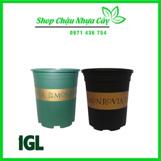 Chậu Nhựa Monrovia Việt Nam 1GL