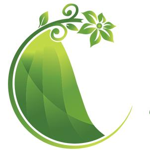 Hương Núi - Đặc Sản Tây Bắc