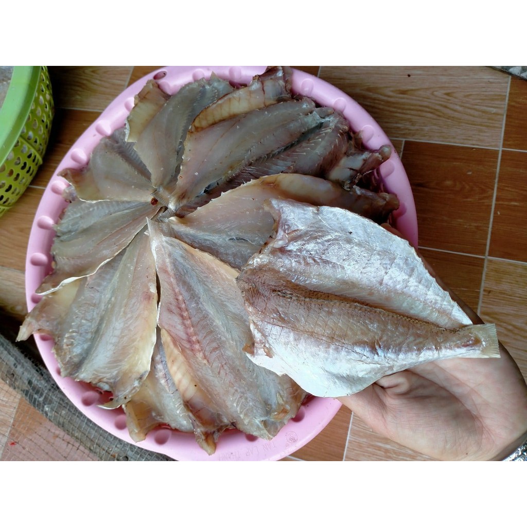 CÁ ĐÙ 1 NẮNG