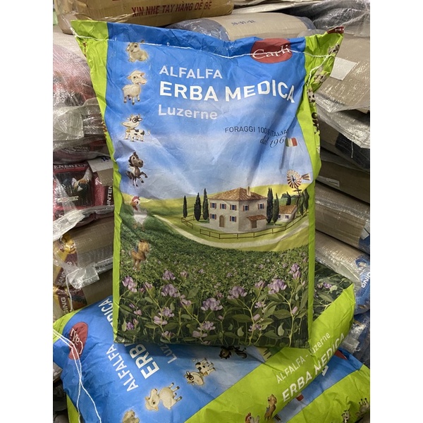 Cỏ Linh Lăng Alfalfa 3ly dành cho gà đá, bọ, thỏ... (1kg) - Pet Food Store.