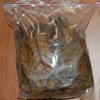10 lá bàng khô tốt cho bể cá
