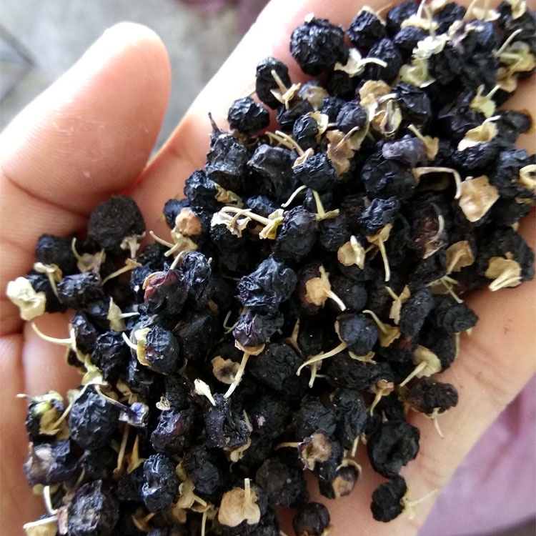 Kỉ Tử Đen Tây Tạng  100 Gam Chống Lão Hóa