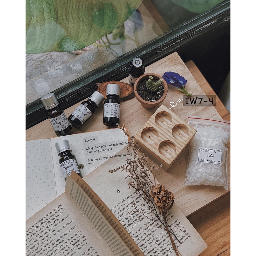 Khay gỗ đựng muối khuếch tán tinh dầu