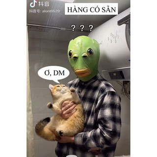 Mặt nạ đầu cá xanh lá hóa trang