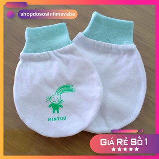 Combo 5 Set BAO TAY sơ sinh TRẮNG cổ bo Mintuu (1 đôi)