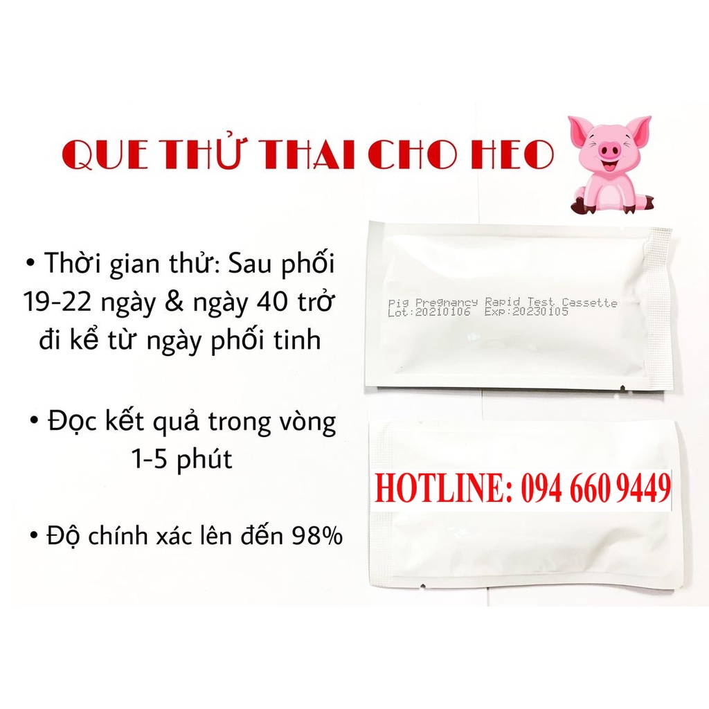 Que thử thai heo