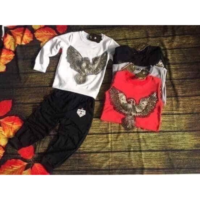 Set đại bàng Cho bé trai