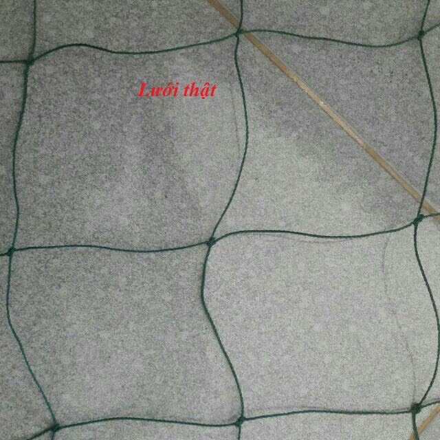 Lưới trồng nho / Lưới trồng cây leo giàn 2 màu