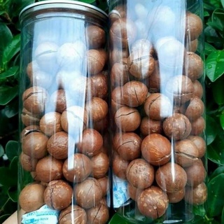 Hạt Macca BunBun Yum