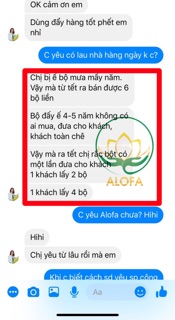 Bột thảo dược phong thuỷ Alofa