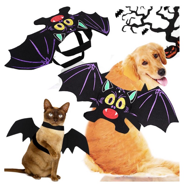 Quần áo Halloween cho Chó Mèo.