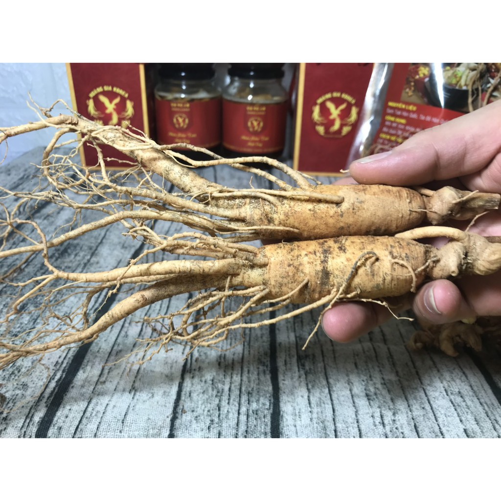 set 2 củ sâm tươi hàn quốc | BigBuy360 - bigbuy360.vn
